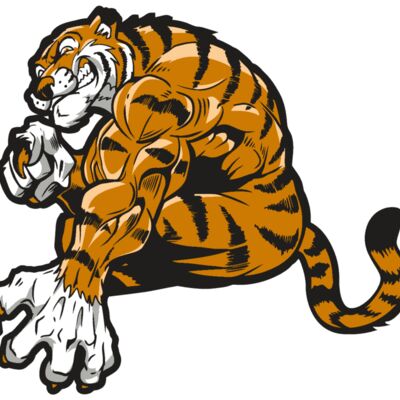 AR4 TIGER 09 RQC 縮圖