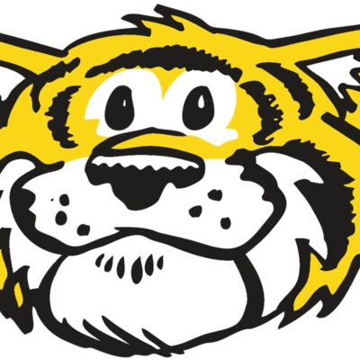 AR TIGER 90 RC 縮圖