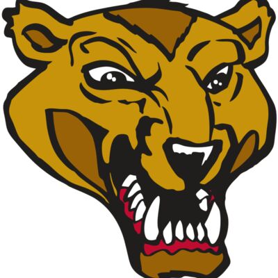 AR2 WOLVERINE 01 RQC 縮圖