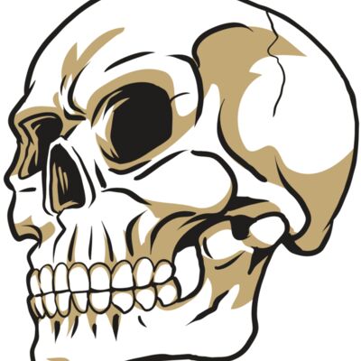 AR24 SKULL 08 RQC 縮圖