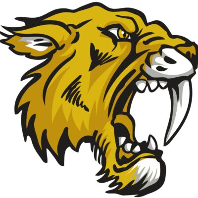 AR30 SABER 03 RQC 縮圖