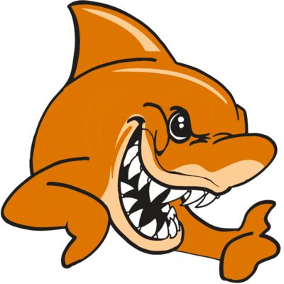 AR  SHARK 28 RC 縮圖