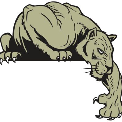 AR10 PANTHER 06 RQC 縮圖