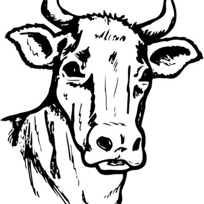 COW006 縮圖