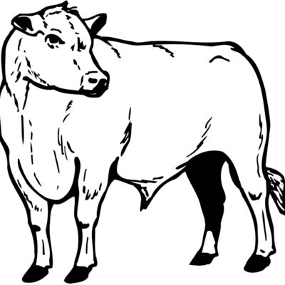 COW013 縮圖