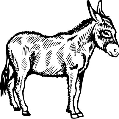 BURRO006 縮圖