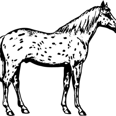 HORSE015 縮圖