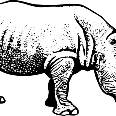 RHINO001 縮圖