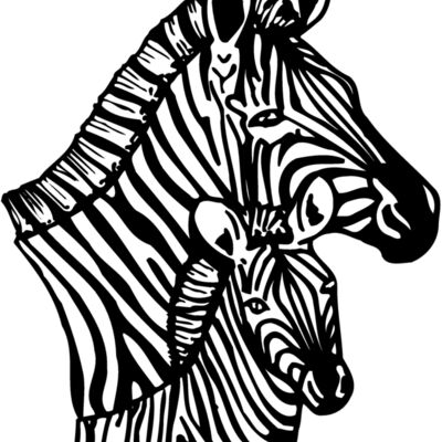 ZEBRA002 縮圖