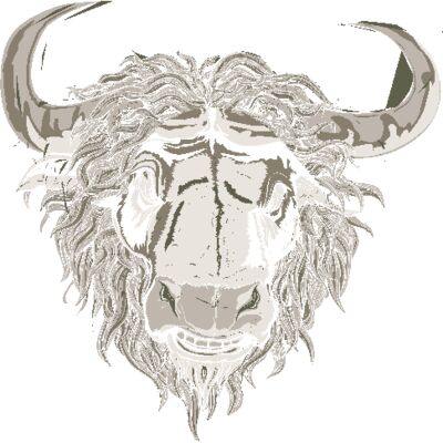 designious t shirt design 167 縮圖