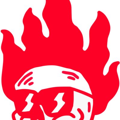 Elements Skulls logo template 51 縮圖