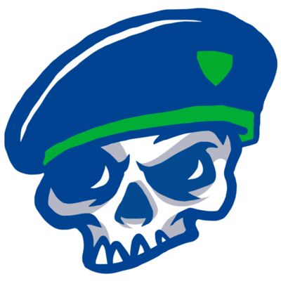 Elements Skulls logo template 100 縮圖