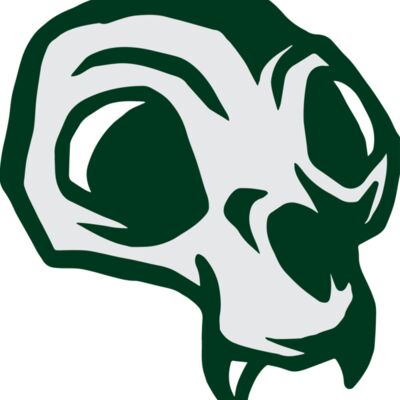 Elements Skulls logo template 144 縮圖