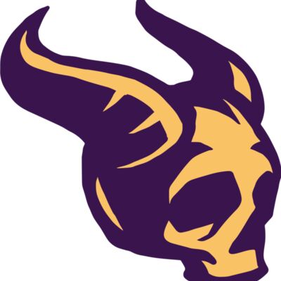 Elements Skulls logo template 164 縮圖